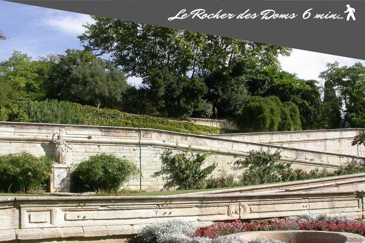 Le Chapeau Rouge Au Coeur Du Centre Historique Avignone Esterno foto